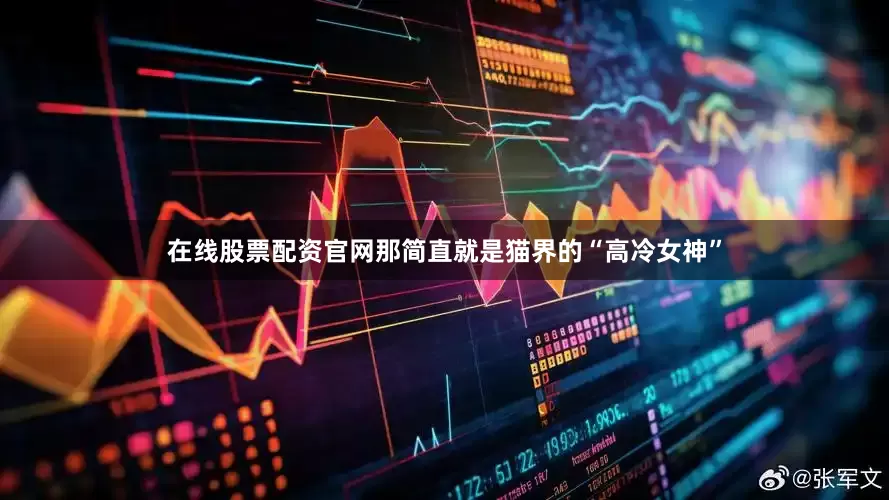 在线股票配资官网那简直就是猫界的“高冷女神”