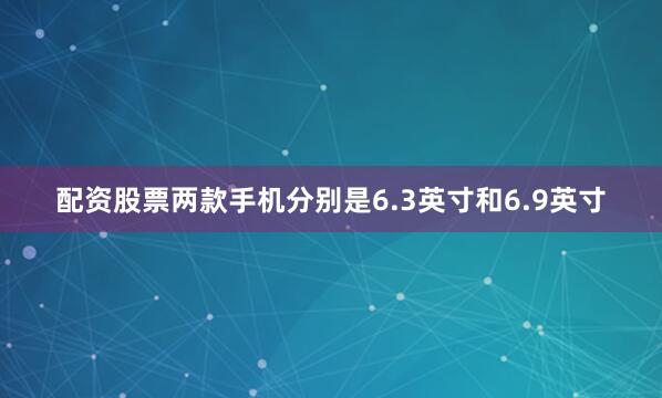 配资股票两款手机分别是6.3英寸和6.9英寸